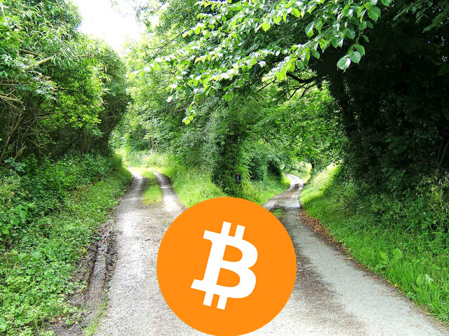 btc bcc bitcoin